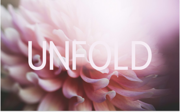 Soft, abstract close-up of pink flower petals with gentle light and the word “UNFOLD” in large white letters across the center.