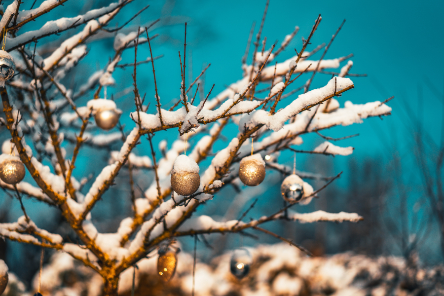 winter tree with christmas ornaments