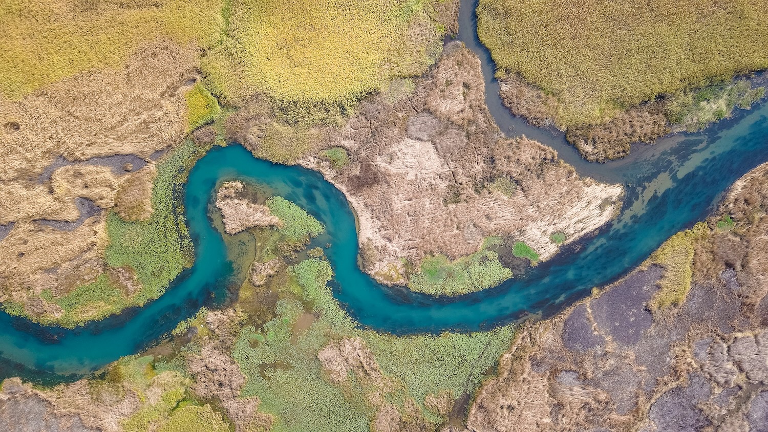 Aerial view of a winding turquoise river flowing through marshland wetlands